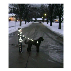 Lightweights 3M Reflexaufkleber Für Bekleidung 20 Stück -Fahrradteile Geschäft 59203682 04XcALa9OzpEINU 1280x1280