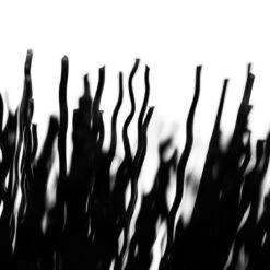 Muc-Off Tyre & Cassette Brush -Fahrradteile Geschäft 59203798 05dGUdIdb2ZRGHv 1280x1280