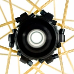 PI ROPE RL World Runner 27R Laufradsatz 28" Sram XDR - Golden Shine (Natur) -Fahrradteile Geschäft 68923886 04aBFx8tsp4H3FM 1280x1280